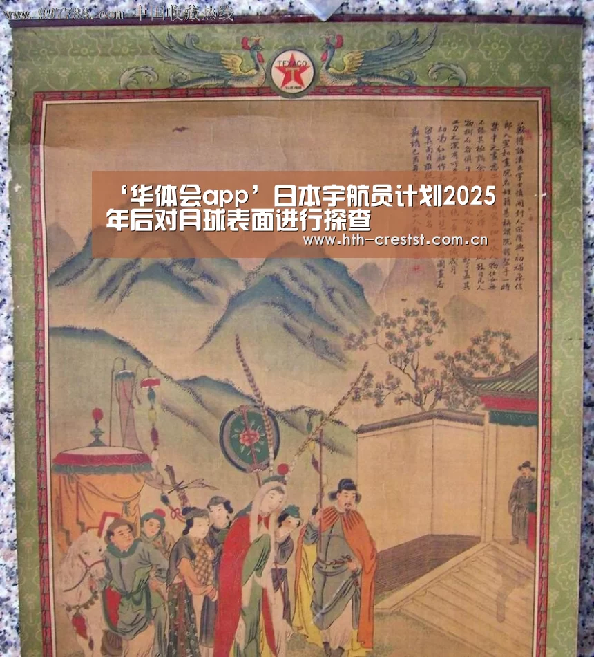 华体会app