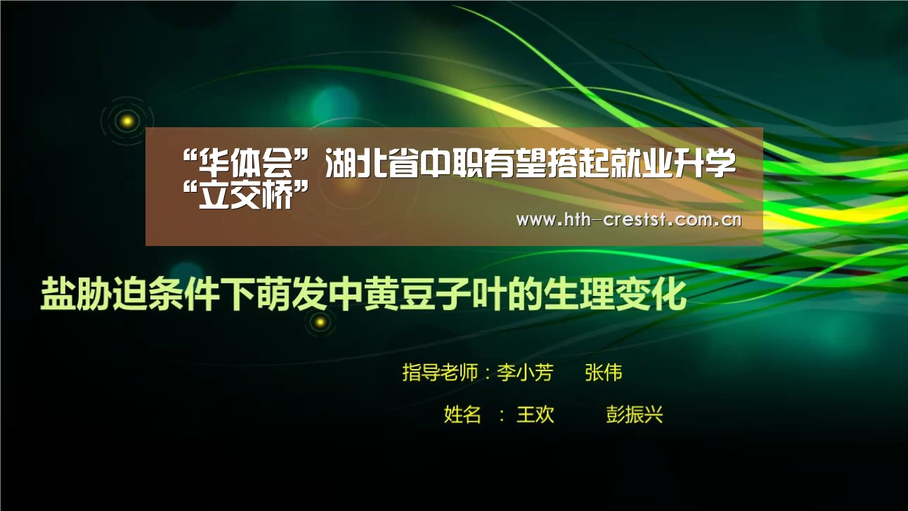 华体会